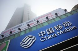 （10分钟教程）乐山公司咨询服务电话_哔哩哔哩